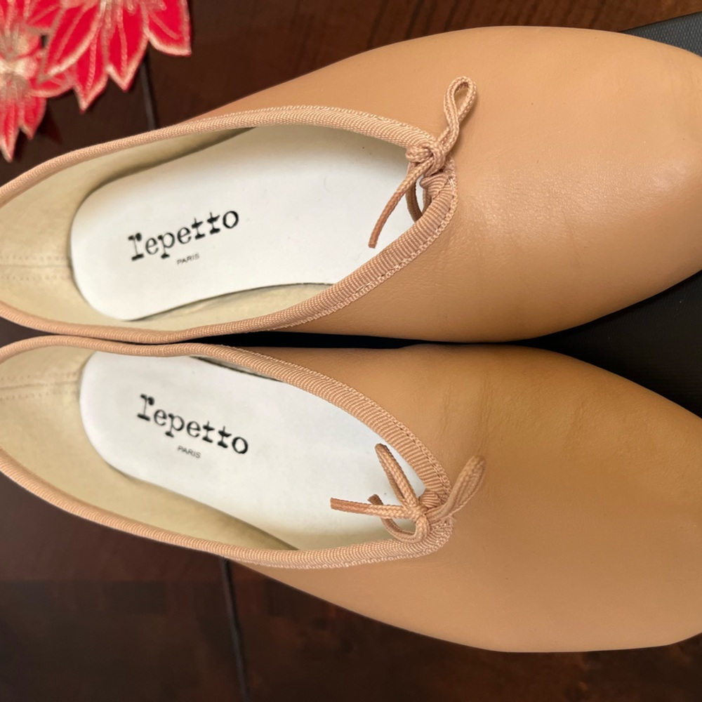 Repetto LILOUH RUBBER SOLE BALLET FLATS. NEW